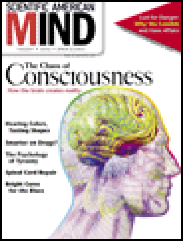 Big Blue's Neocortex | Scientific American