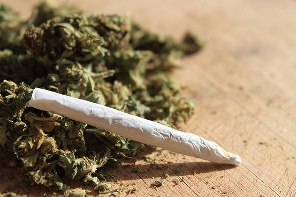 Marijuana Madness: Hopped-Up Weed May Pose Risks for Users - Scientific  American