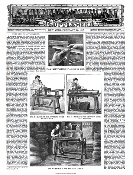 SA Supplements Vol 23 Issue 580supp