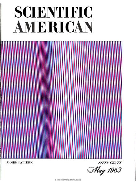 Scientific American Magazine Vol 208 Issue 5