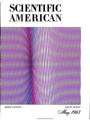 Scientific American Magazine Vol 208 Issue 5