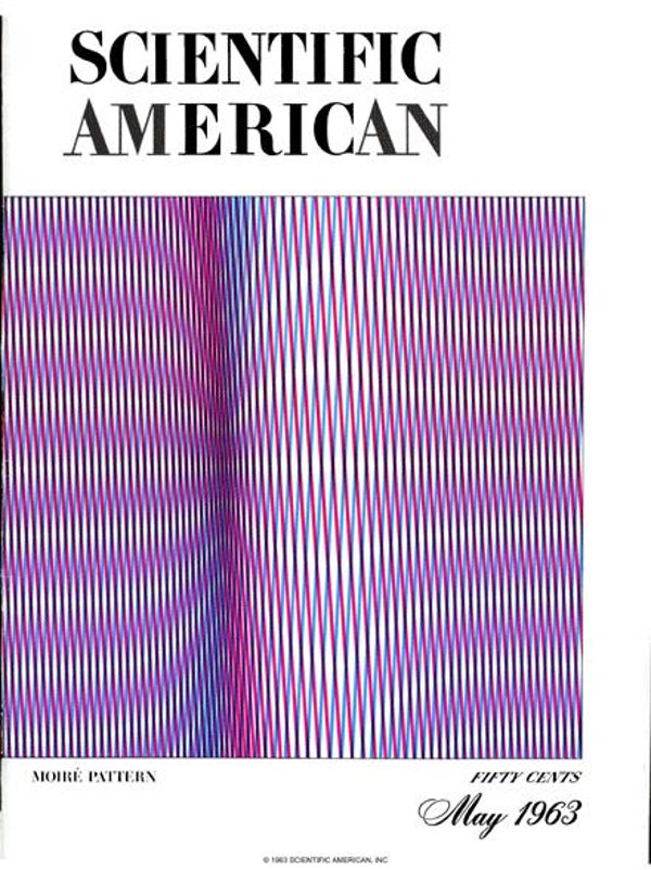 Scientific American Magazine Vol 208 Issue 5