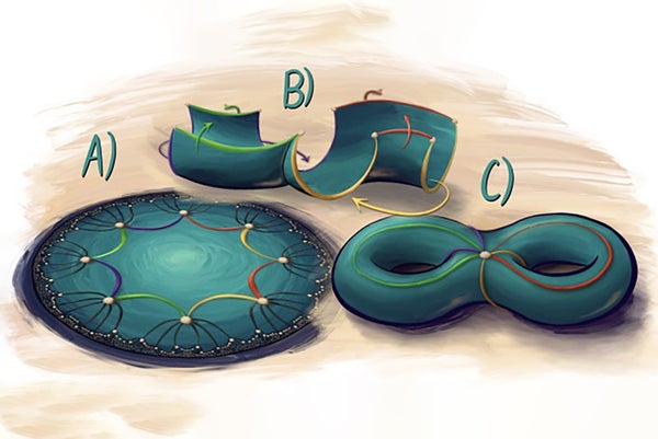 Illustration showing green shapes labeled A, B, C shown agains an off white background..