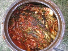 Science Shows Why Traditional Kimchi Making Works So Well