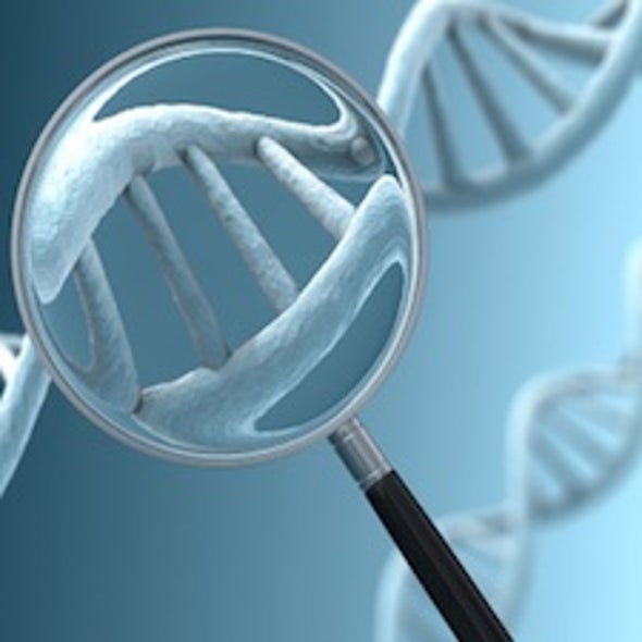 Accentuating the Positive: Researchers Closer to Pinpointing Beneficial Evolutionary Mutations in the Human Genome