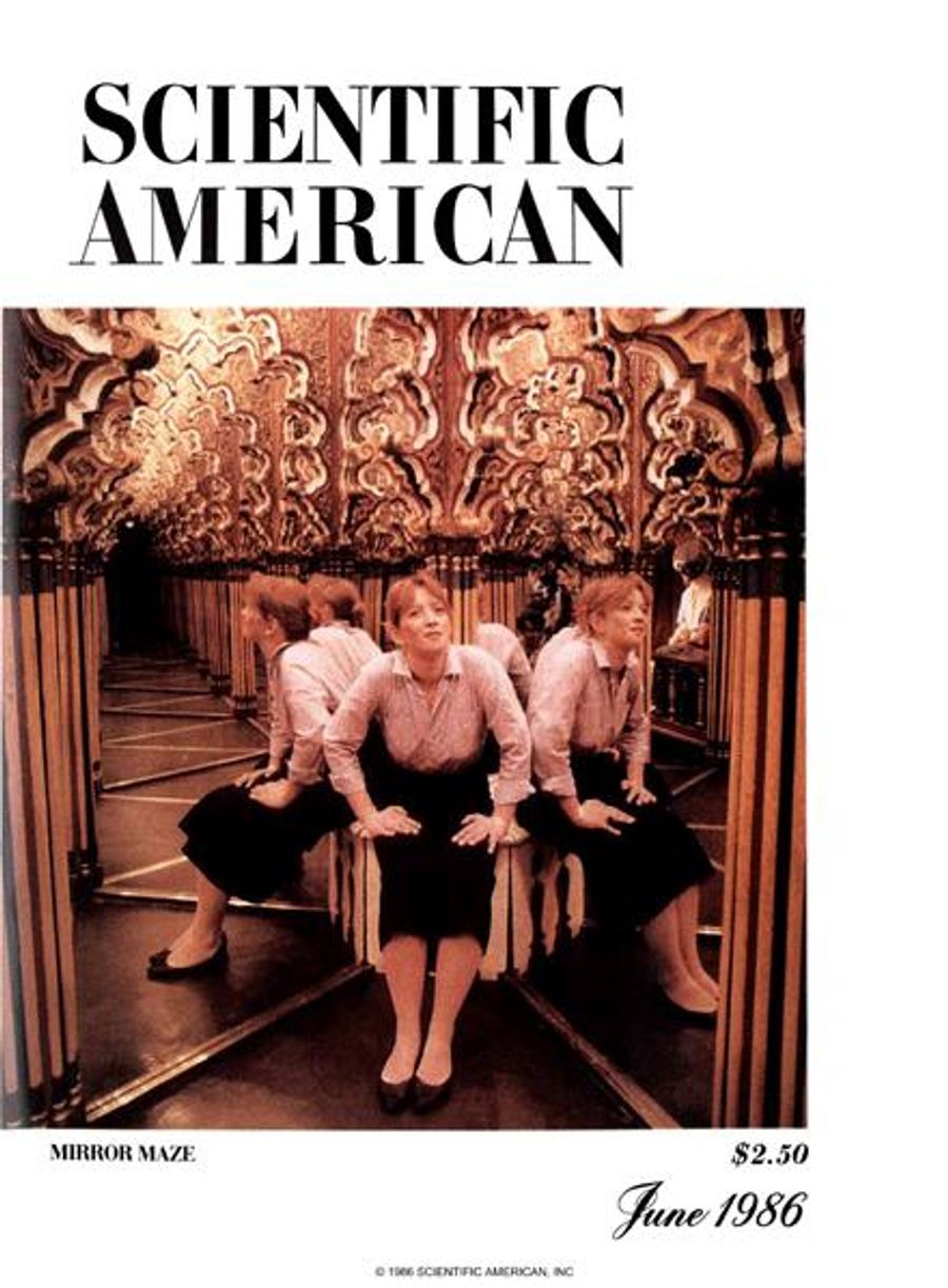 The Perception of Apparent Motion | Scientific American