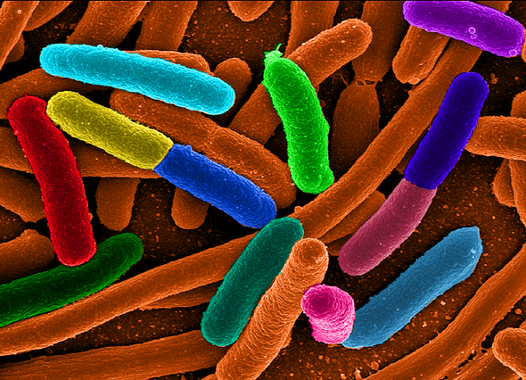 A Faster Way to Diagnose Antibiotic Resistance