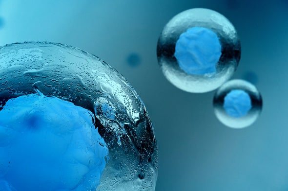 Billions of Dollars for Stem Cell Research Institute On California's November Ballot