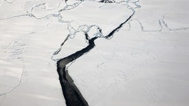 What to Believe in Antarctica's Great Ice Debate