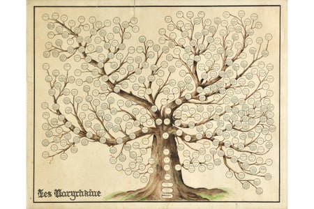 Family tree