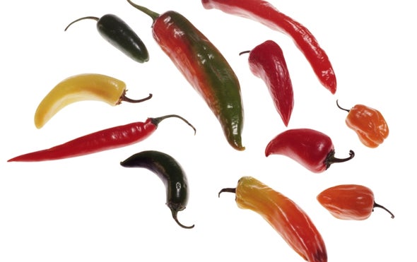 Feel the Burn--New World Chilies Traced Back Nearly 17 Million Years
