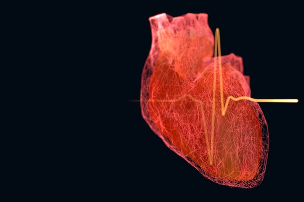 3D illustration of human heart