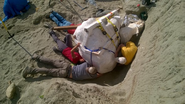 hell creek dinosaur dig