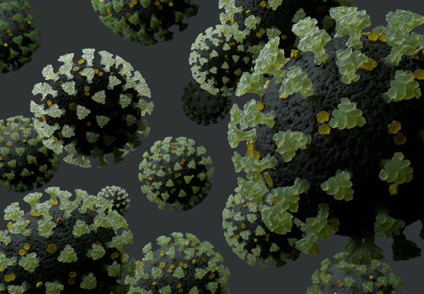 Digital generated image of macro view of the coronavirus