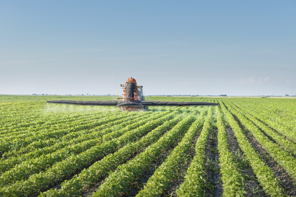 Parkinson's Disease and Pesticides: What's the Connection?