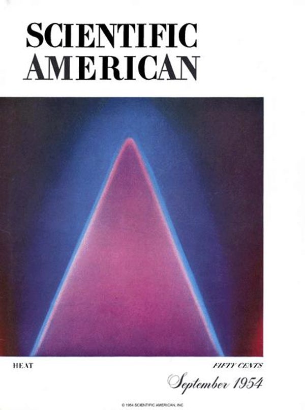 Scientific American Magazine Vol 191 Issue 3