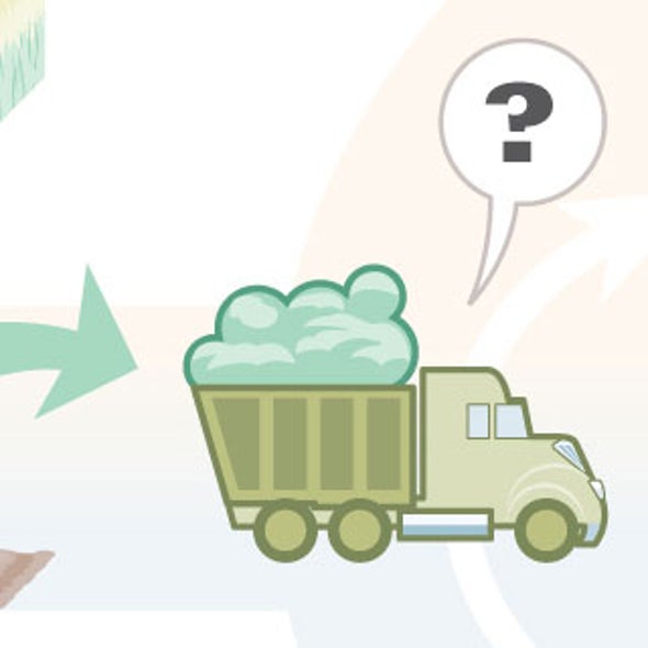 What Is The Best Way to Turn Plants into Energy?