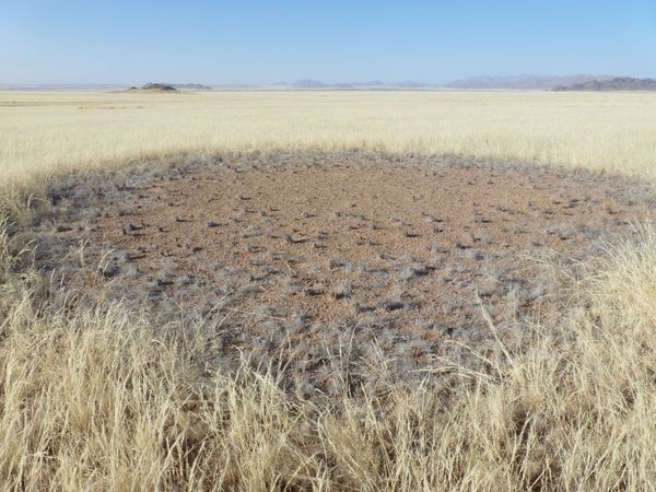 Satellites and Fairy Circles: Orbital Imagery of Ring-Shaped Features Aims  to Solve a Desert Mystery