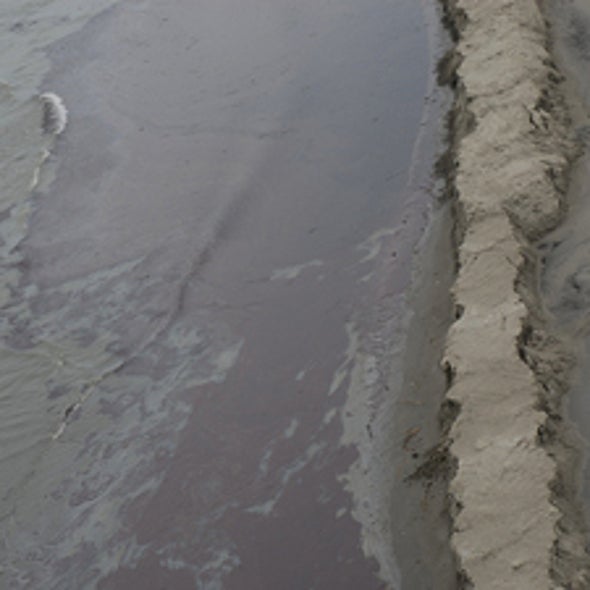 Slosh and Berm: Building Sand Barriers off Louisiana's Coast to Hold Back Oil Spill Has Low Probability of Success
