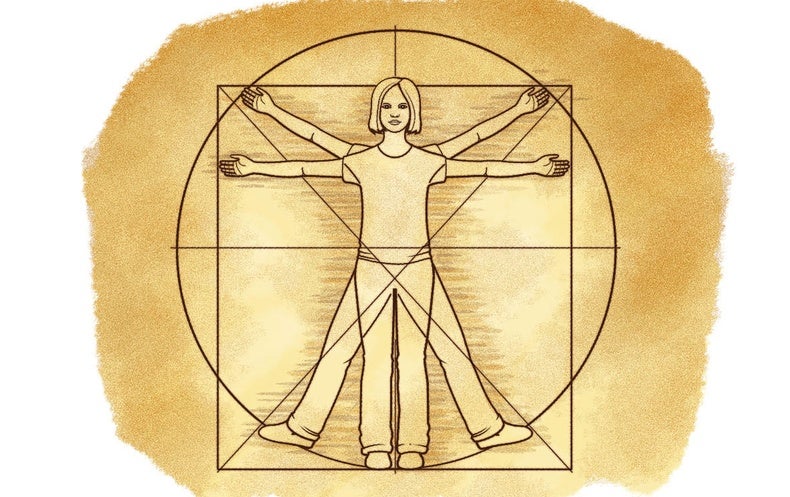 Human Body Ratios Scientific American