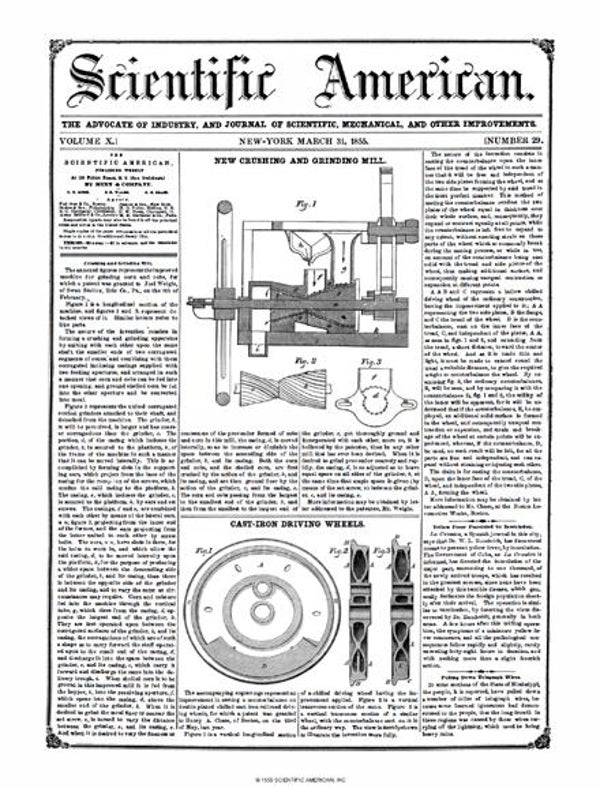 Scientific American Magazine Vol 10 Issue 29