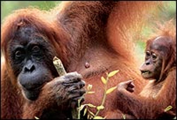 Genetic Changes from Bullying