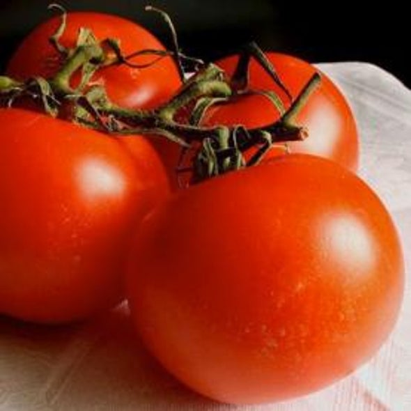 Dollars and Scents: The Chemistry of a Delicious Tomato