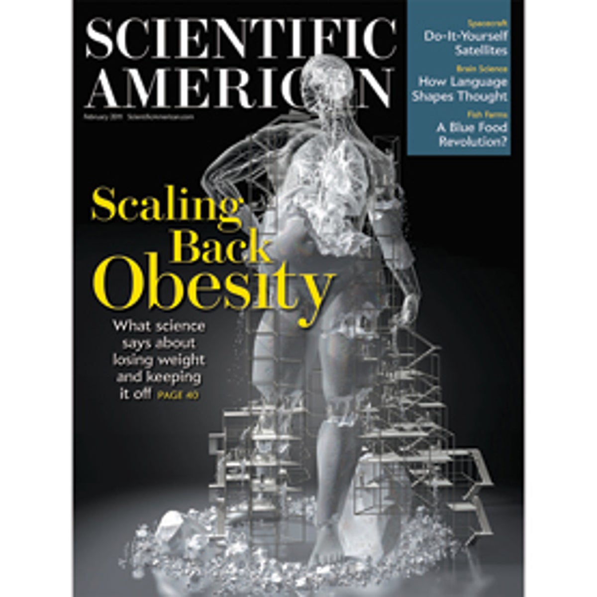 recent research article on obesity