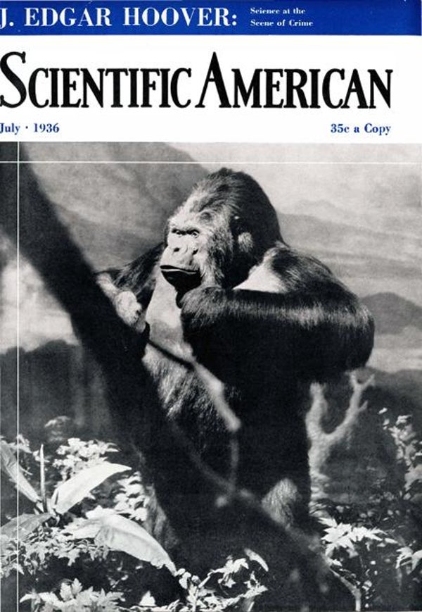 Scientific American Magazine Vol 155 Issue 1
