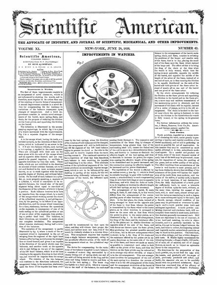 Scientific American Magazine Vol 11 Issue 42