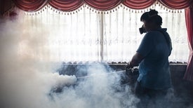 How Zika Spiraled Out of Control