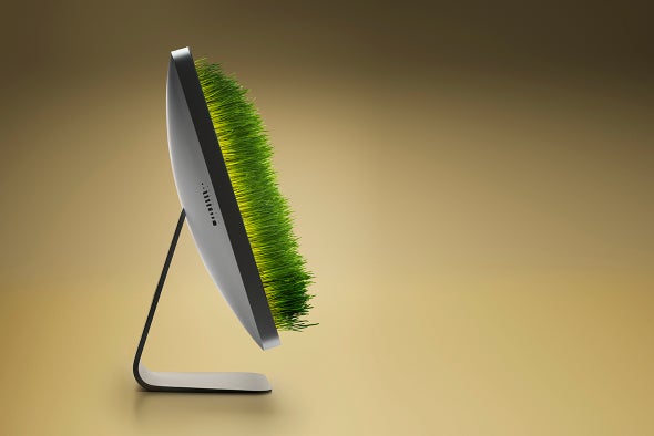 Growing Virtual Plants Could Help Farmers Boost Their Crops