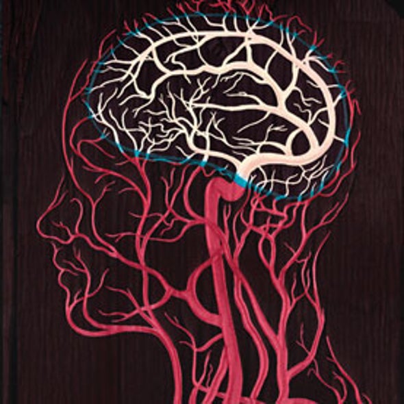 Web Exclusive: Breaking the Brain Barrier