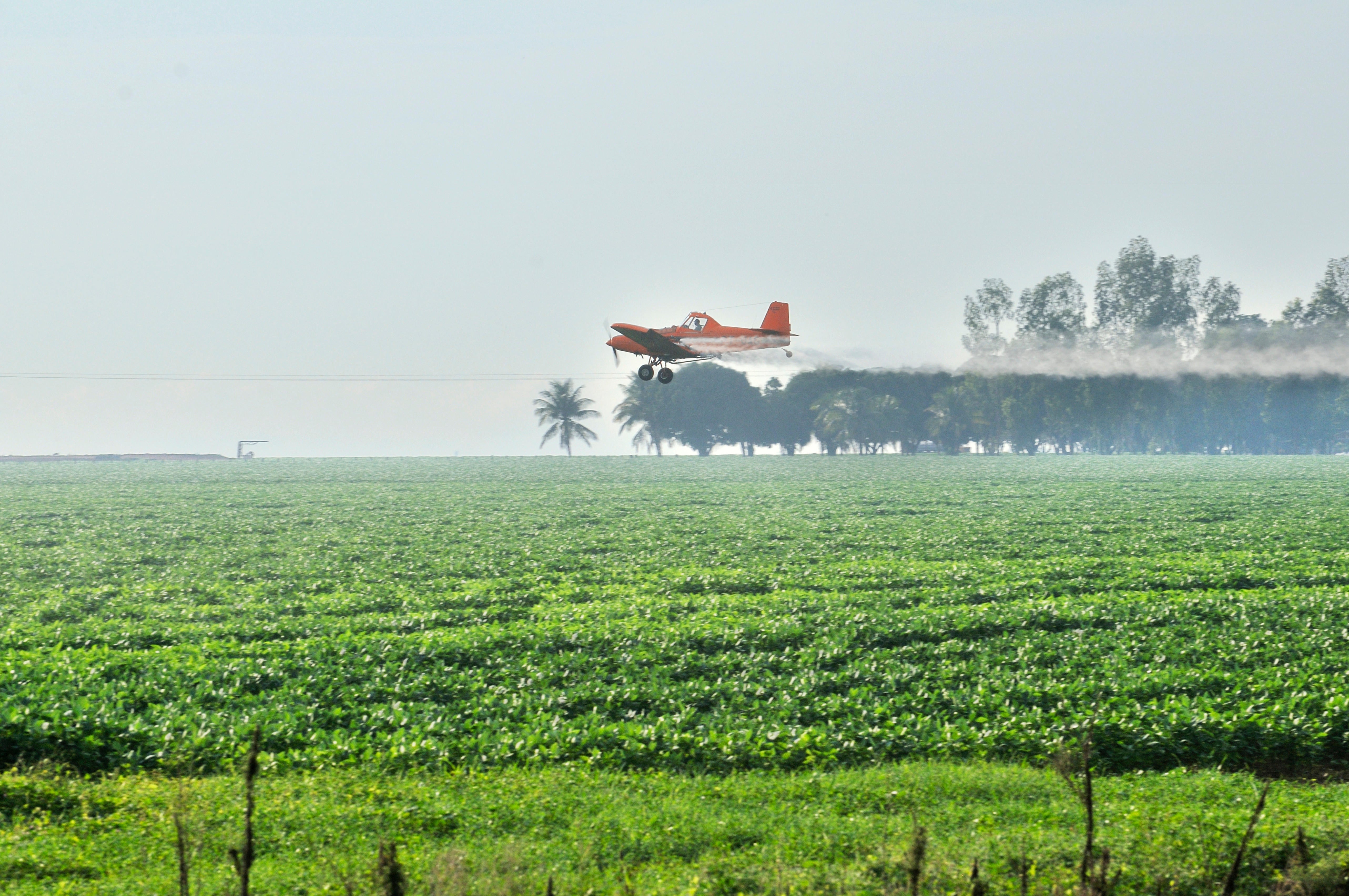 What Happens When You Deny Scientific Evidence? Look at Brazil's Pesticide Problem