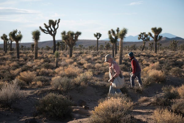 The Ambitious Effort to Document California's Changing Deserts ...