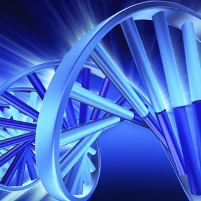 Longest Piece of Synthetic DNA Yet