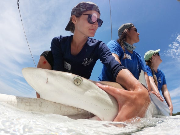 The Dark Side of Being a Female Shark Researcher