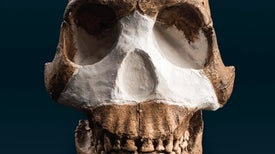 Controversy and Excitement Swirl around New Human Species