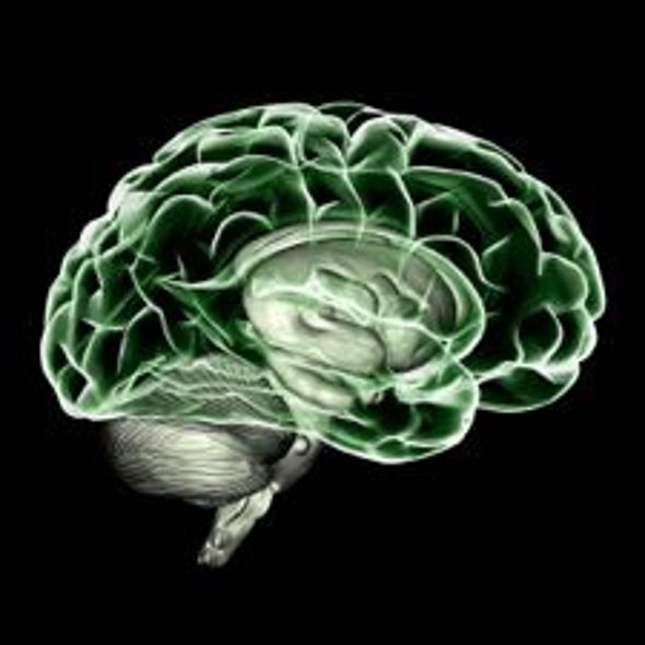 Consciousness-Raising: Kick-Starting the Brain's Dopamine System May Revive Some Vegetative Patients