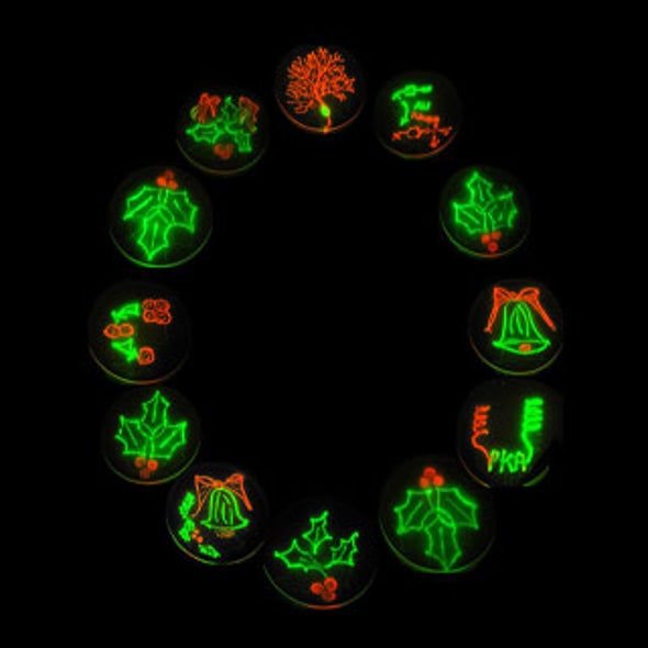 Chemistry Nobel Glows Fluorescent Green