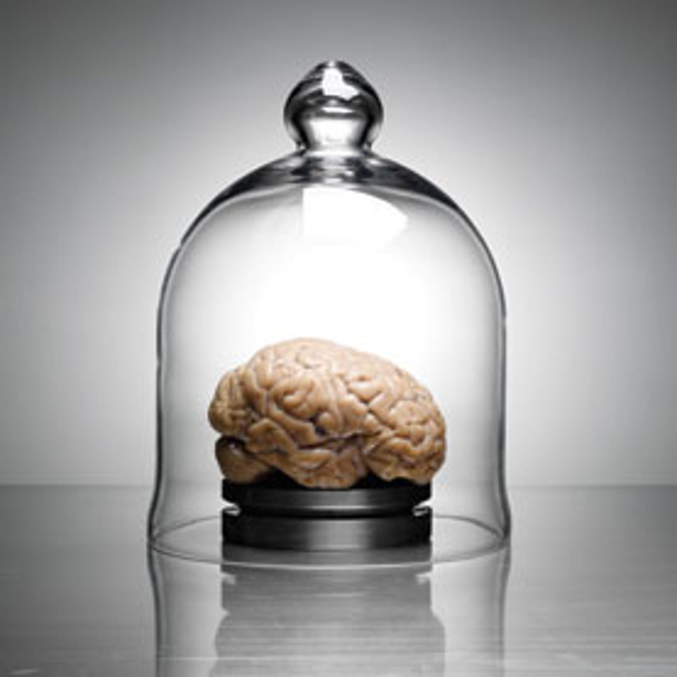 The Neuroscience of True Grit | Scientific American