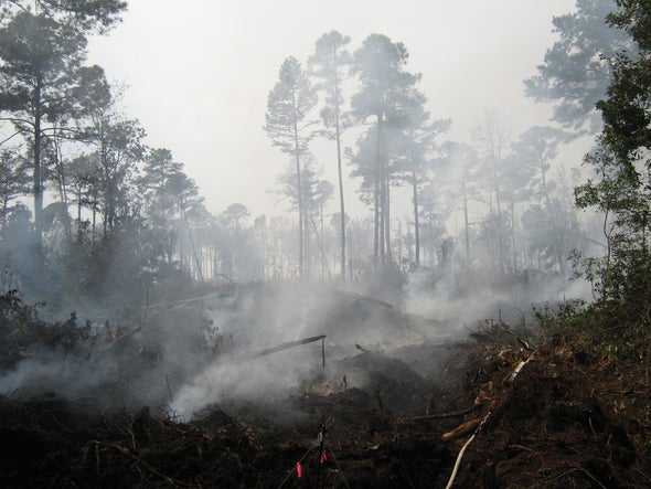 Vast Peat Fires Threaten Health and Boost Global Warming