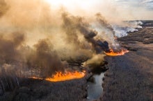 Military Action in Chernobyl Could be Dangerous for People and the Environment