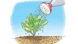 Water-Wise: Keep Soil Wet without Waste