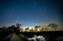 Leonid and Geminid Meteor Showers Bring Bonanza before Year's End