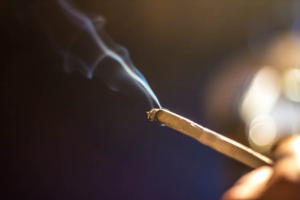 A lit marijuana cigarette against a dark background.