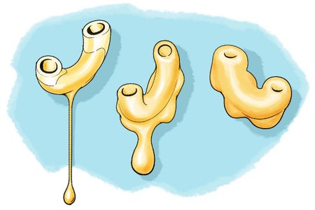 Scientific American Logo