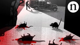 Blood, Rats and Anticoagulants: The Story of Warfarin