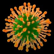 Can You Get The Flu Twice In 1 Season? - Scientific American