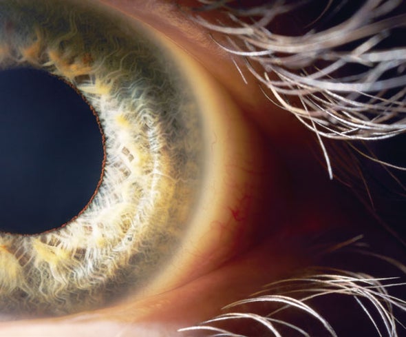 New Technologies Track Our Eyes--And Read Our Minds
